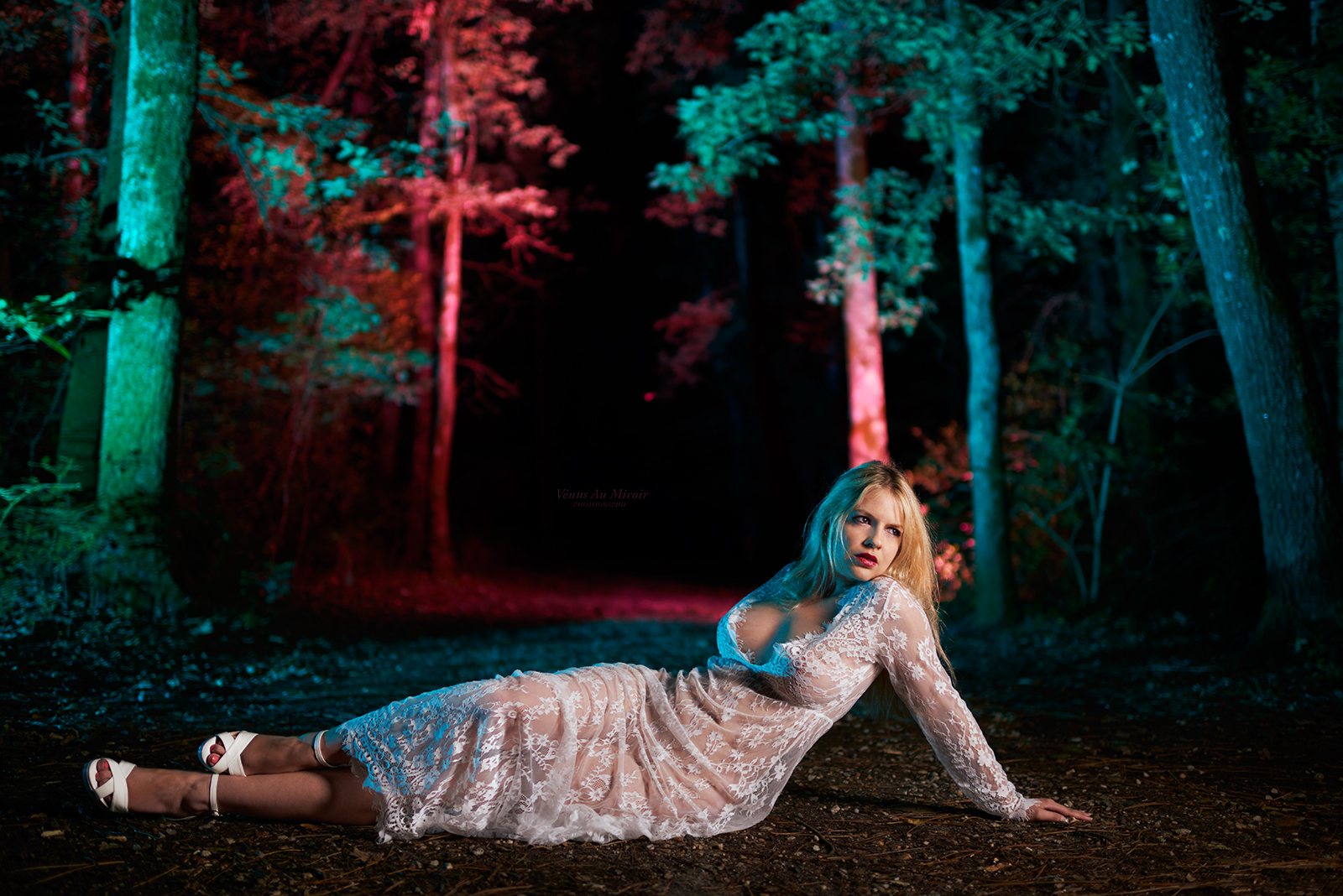 Giny-foret-1 copie.jpg