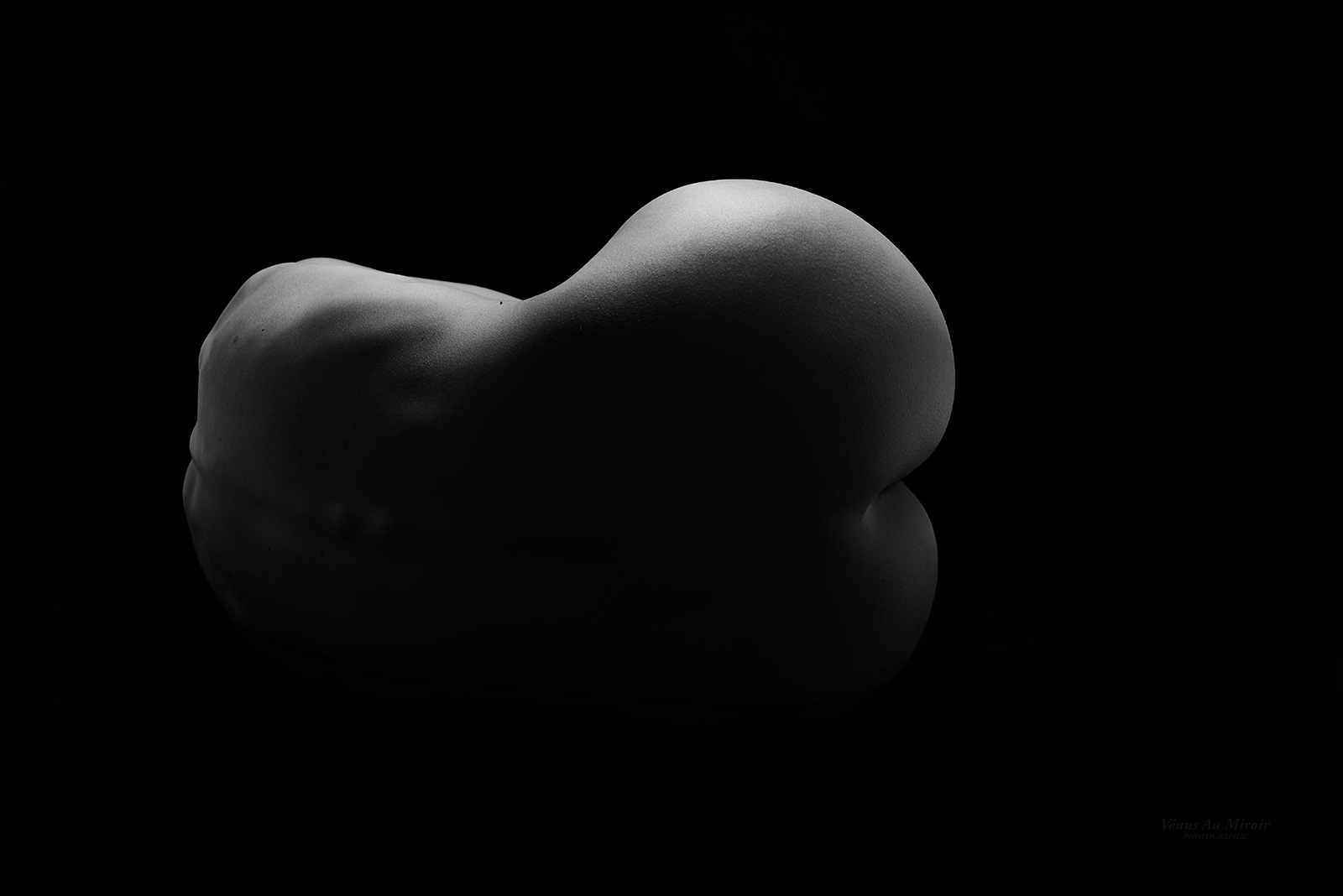 Melissa2.5-sslogo copie-retouchee.jpg