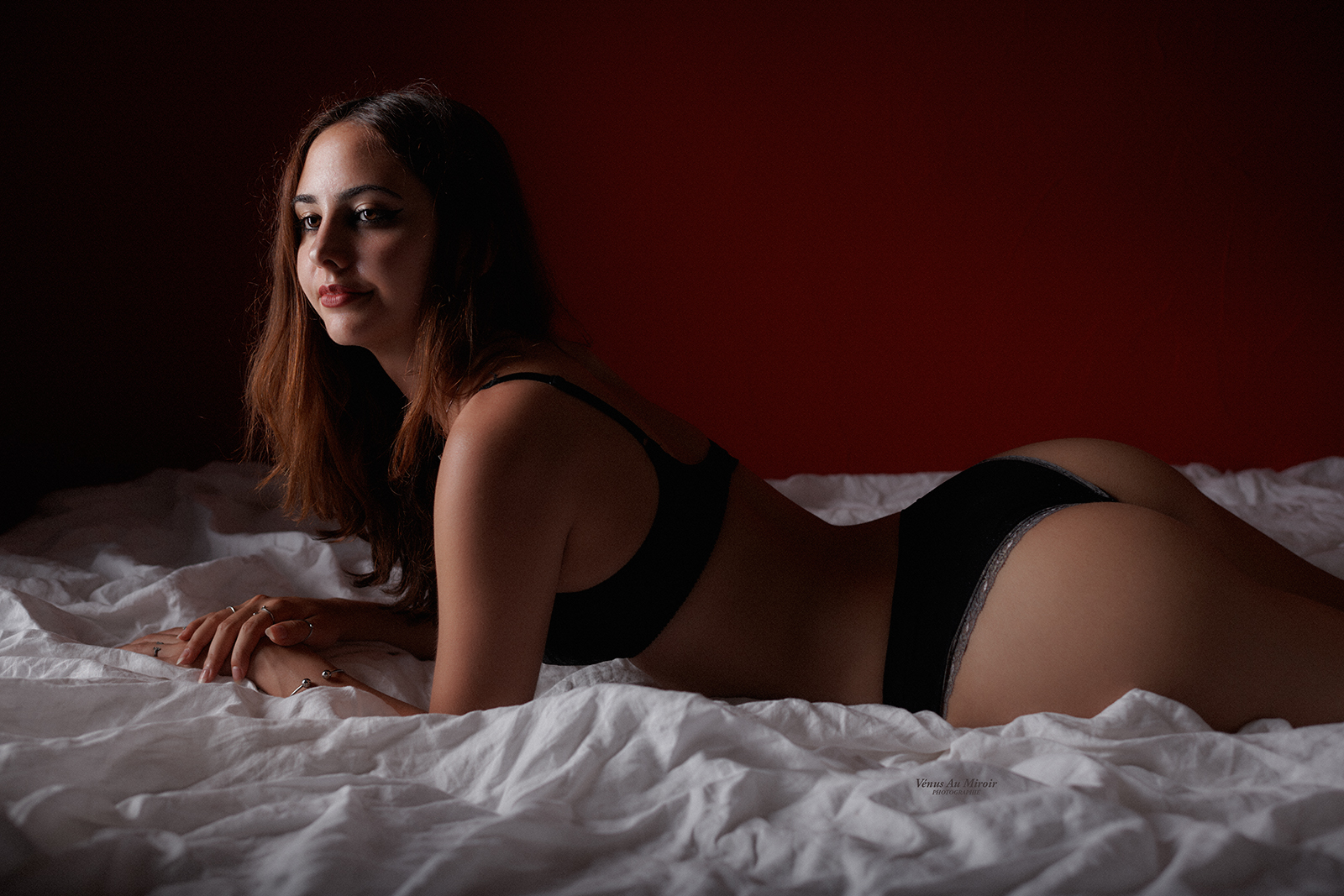 Paloma4-top.jpg