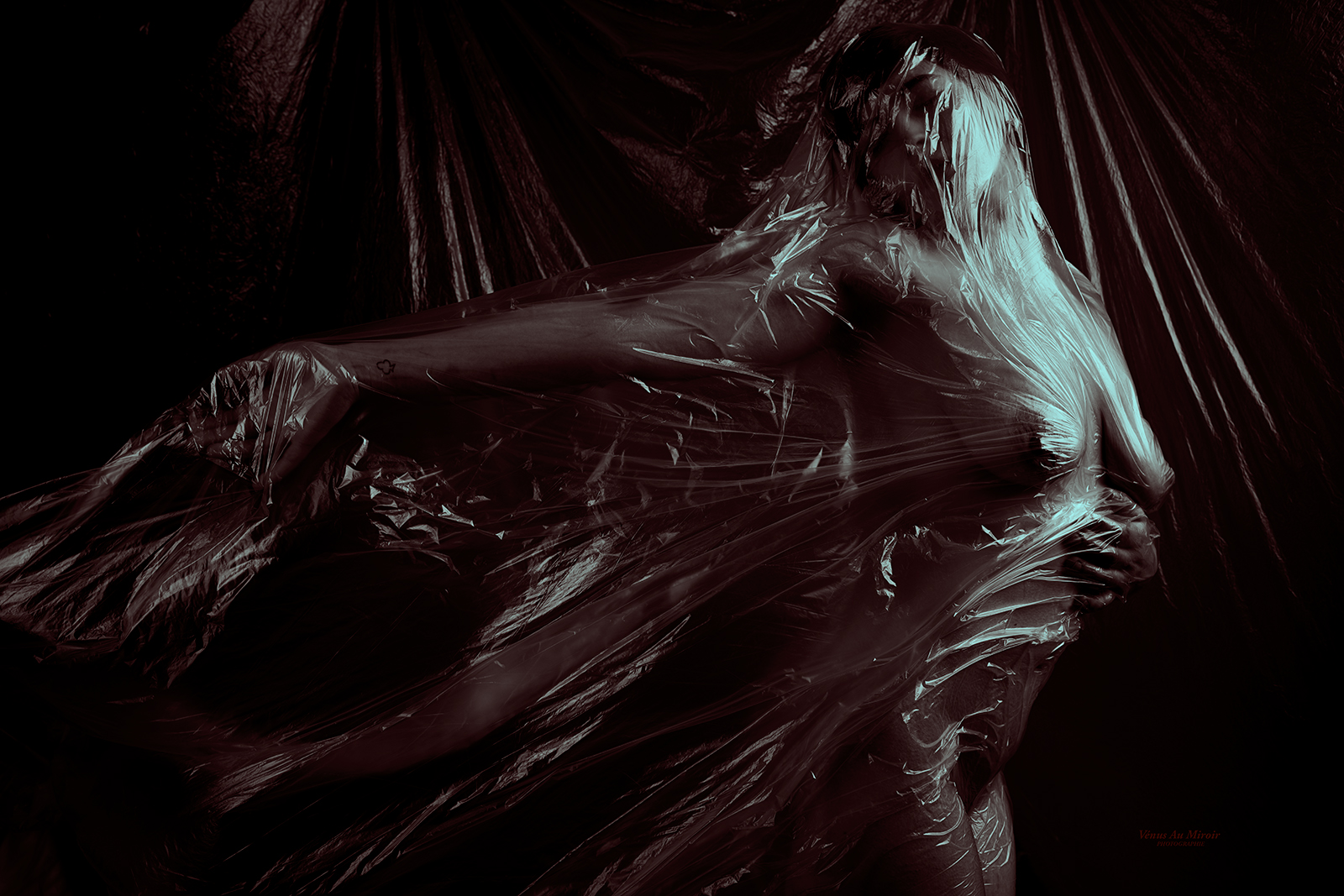 Natacha-plastique-1-NB.jpg